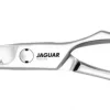 Jaguar Xena Silver Line 5.5"