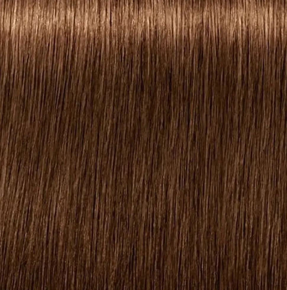 Schwarzkopf Igora Royal Absolutes 6-460 Dark Blonde Beige Chocolate - 60 ml
