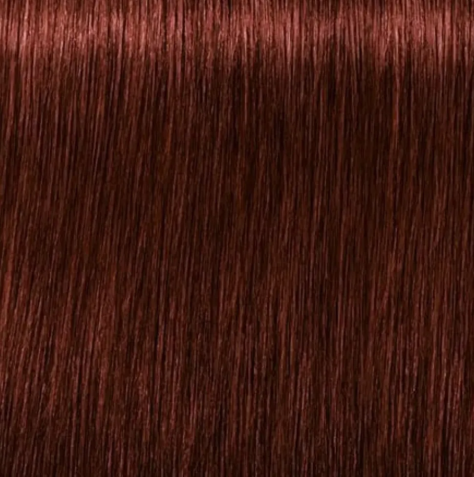 Schwarzkopf Igora Royal Absolutes 5-80 Light Brown Red Natural - 60 ml