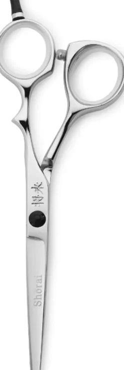 Shōrai Classic 6"