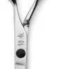 Shōrai Classic 5"