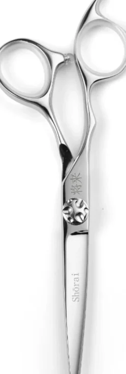 Shōrai SC Left Hand 6"